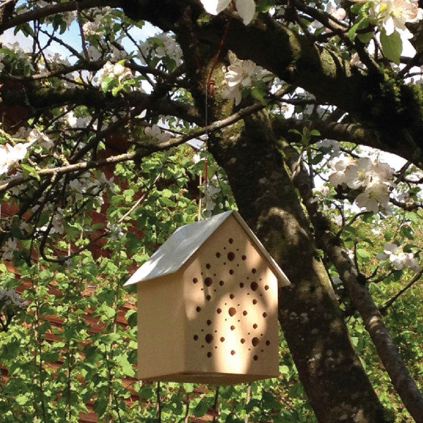 Bienenhotel Bees Inn