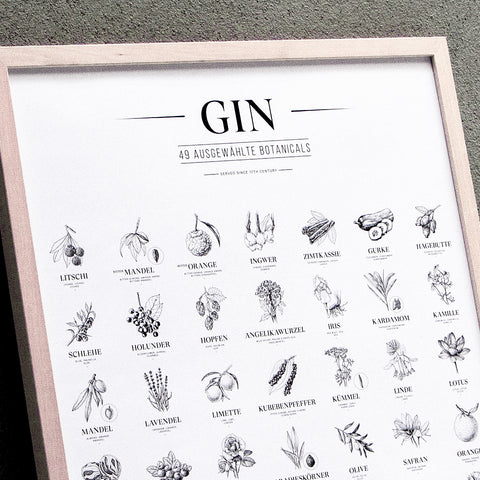 Gin Plakat