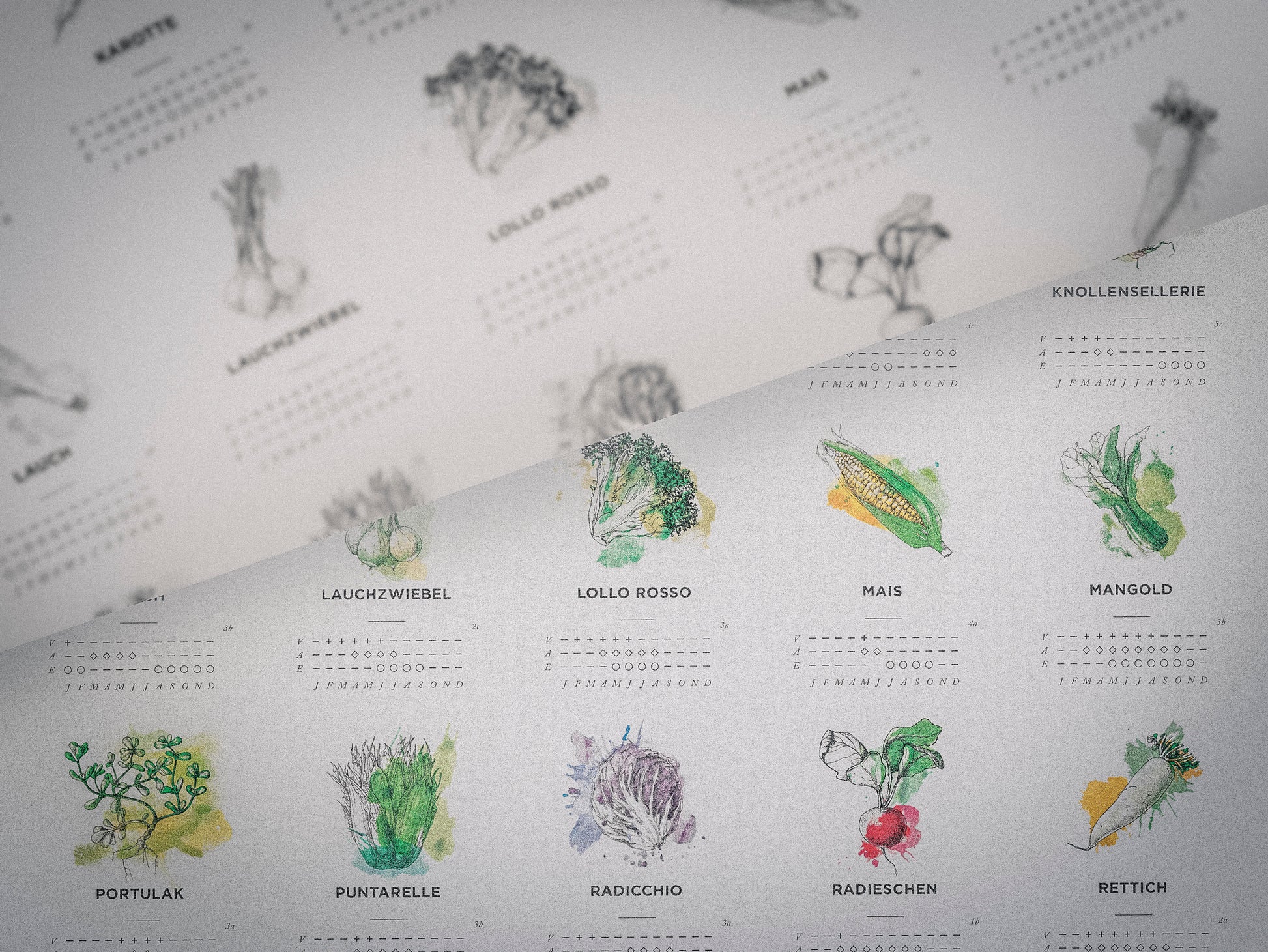 Pflanzkalender Small