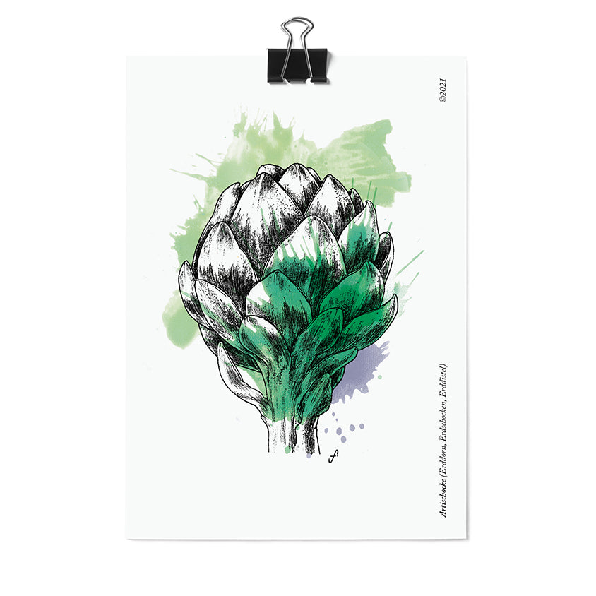 Postkarte Artischoke